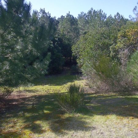 Villa "Le Mirage" Lège-Cap-Ferret Εξωτερικό φωτογραφία