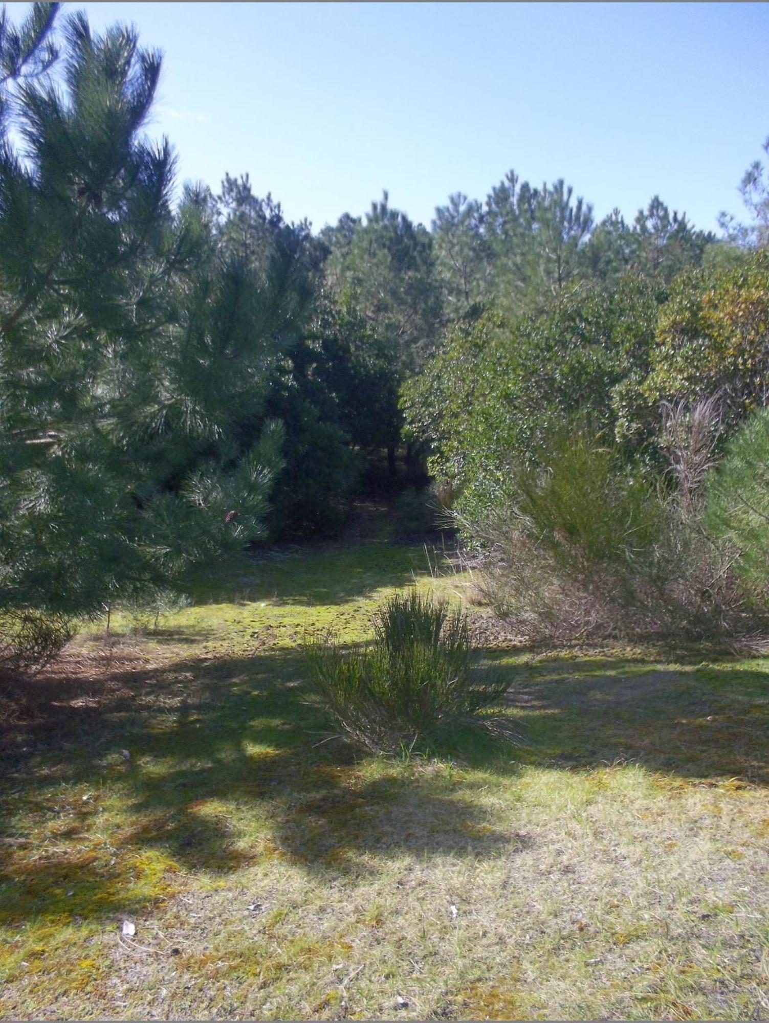 Villa "Le Mirage" Lège-Cap-Ferret Εξωτερικό φωτογραφία